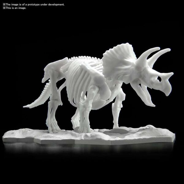 Dinosaur Limex Skeleton Triceratops Mk